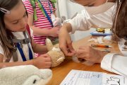 Sprechstunde bei den Teddy-Docs